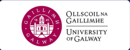 Partner University 9